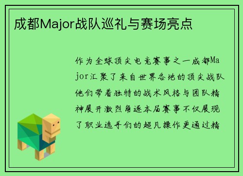 成都Major战队巡礼与赛场亮点